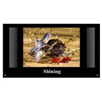 LCD advertising player with different designes