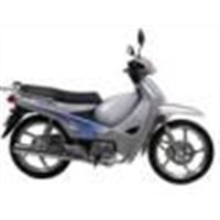 Cng Motorcycle(110cc/125cc)