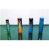 Ni-Cd/Ni-Mh rechargeable battery