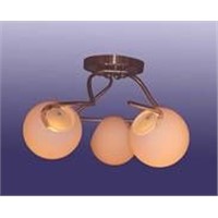 ceiling light