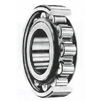 Roller bearing