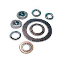 Reinforced Graphite Gasket