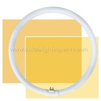 Circular Fluorescent Lamp (FCT6)