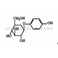 Bilberry Extract - 25%