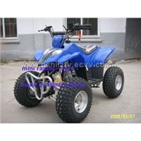 Mini ATV Quad (KID RAPTOR 90)