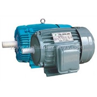 Electric Motor (AEEF Series)