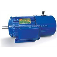 3 Phase electric motor