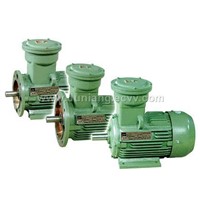 3 Phase electric motor