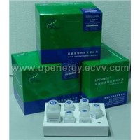Tissue and Cell Genomic DNA Purification Kit