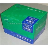 Tissue and Cell Total RNA Purification Kit