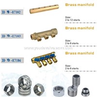 Brass manifold