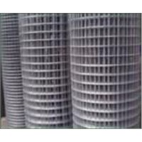 Welded Wire Mesh