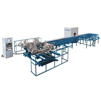Automatic Cleaning Production Line (SHQX01)
