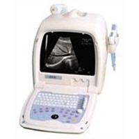 Ultrasound scanner 8C