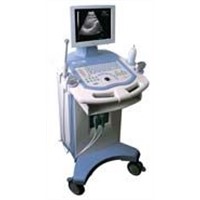Ultrasound Diagnostic Imaging System BW8F
