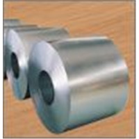 Stainless Steel Coil/Strips