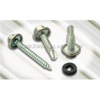 KTX A2/18-8 Capped Screw