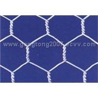 Hexagonal wire mesh