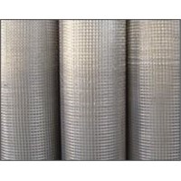 Welded Wire Mesh