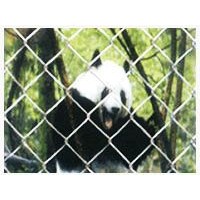 Chain Link Fence