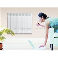 Aluminum Radiator Separed Style (TS-R2)