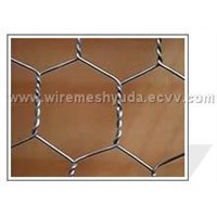 hexagonal wire mesh