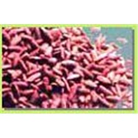 red yeast rice extracts
