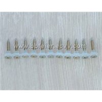 Collated Screw