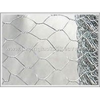 Hexagonal wire mesh