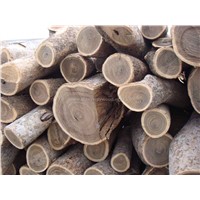 raw timber