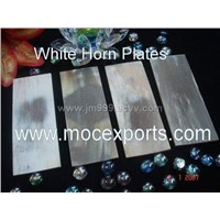 Buffalo Ox White Horn Plates