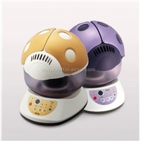 air cleaner and humidifier