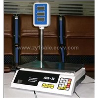 electronic pricing computing scale acs-811