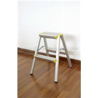 aluminum ladder