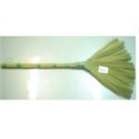 Broom of Vietnam