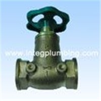 Bronze valve