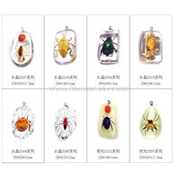 insect amber,transparent resinic products with many kinds of