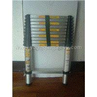 Alu-Alloy Extension Ladder