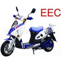 EEC Electric Bike