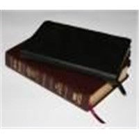 Bible