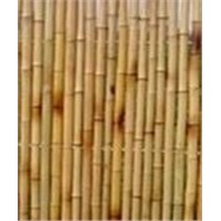 bamboo fence,bamboo fencing,bamboo trellis,bamboo edging,bamboo border