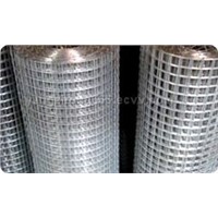 Satainless Welded Wire Mesh
