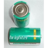 LR20 D size alkaline battery