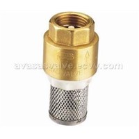 Brass check valve with stainless steel filter