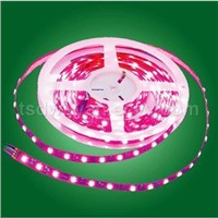 5050SMD LED Light strips(Nonwatertight)