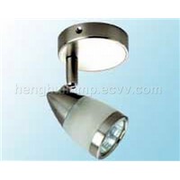 21HS10 Spotlight