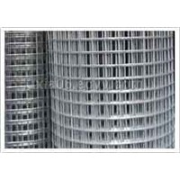 Welded Wire Mesh