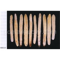 Extract of astragalus root