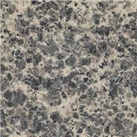 Granite Tile-Leopard skin