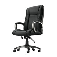 Office Massge Chair (RT-7010)
